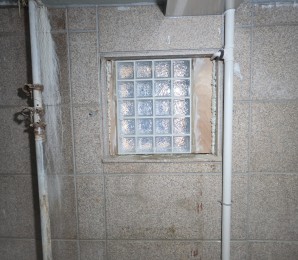 224(아이스)